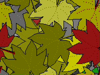 LEAVES
